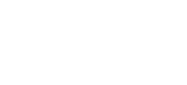 Logo Visagroup24